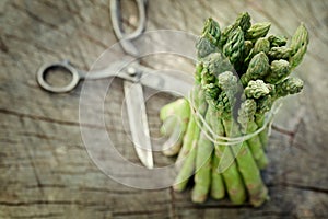 Freshly harvested asparagus