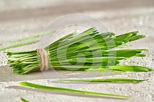 Freshly harvested barley grass on a table in sunlight