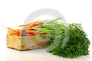 Freshly harvested carrots in a wooden crate