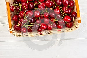 Freshly harvested cherries in basket.