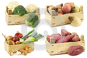 Freshly harvested cooking vegetables in wooden crate