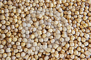 Freshly harvested domestic soybeans background