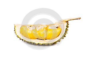 Freshly harvested durian fruit with aromatic and delicious golden yellow soft flesh