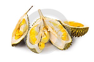 Freshly harvested durian fruit with aromatic and delicious golden yellow soft flesh