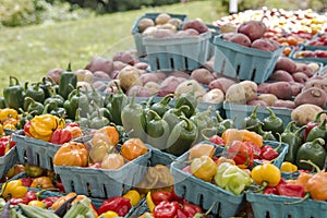 Freshly harvested garden vegetables at a farmer's market