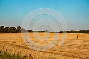 The freshly harvested grain field. Field of freshly bales of hay with beautiful sunset