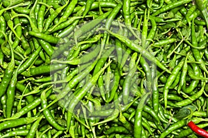 Freshly harvested green chillies