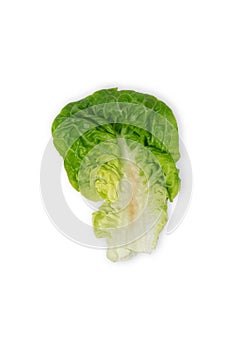 Freshly harvested little gem lettuce leaf on a white background