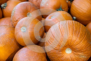 Freshly harvested orange pumpkins stacked in haphazard pile for sale photo