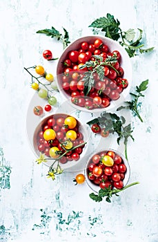 Freshly harvested organic cherry tomatoes in bowls