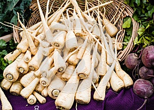 Freshly harvested parsnips at the market