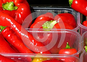 Market stall with fresh red peppers and red hot peppers photo