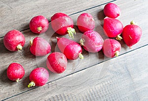 Freshly harvested radishes on a wooden surface