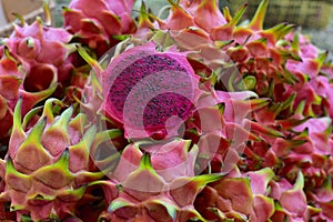 Freshly harvested red pitaya (pitahaya or dragon fruit) cactus fruit on market. ragon fruit in thailand in the summer