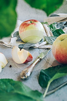 Freshly harvested ripe green red organic apples over napkin or towel and knife on table.