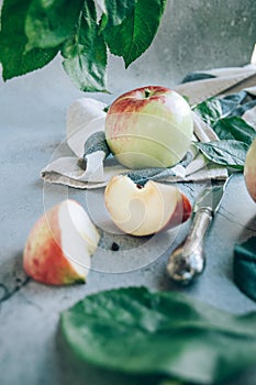 Freshly harvested ripe green red organic apples over napkin or towel and knife on table.