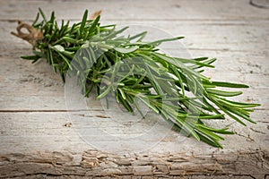 Freshly harvested rosemary