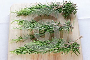 Freshly harvested rosemary