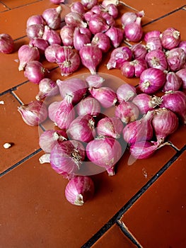 freshly harvested shallots