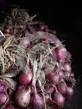 freshly harvested shallots from the field