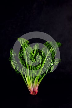 Freshly harvested spinach on dark kitchen plate