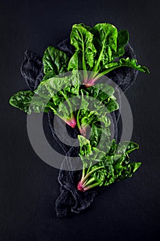 Freshly harvested spinach on dark kitchen plate and napkin