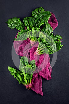 Freshly harvested spinach on dark kitchen plate and napkin