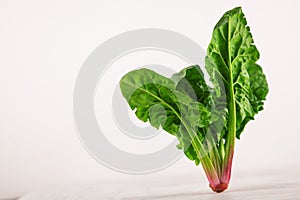 Freshly harvested spinach on white kitchen plate and napkin