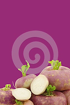 Freshly harvested spring turnip (Brassica rapa) photo