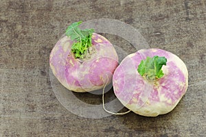 Freshly harvested spring turnips Brassica rapa photo