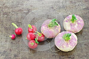 Freshly harvested spring turnips Brassica rapa and some red radishes photo