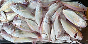 Freshly harvested threadfin breams displayed and sold
