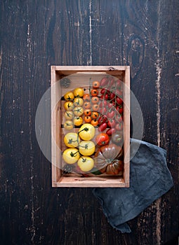 Freshly harvested tomatoes