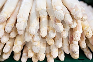 Freshly harvested white asparagus