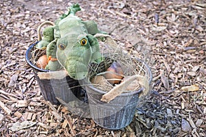 Freshly Laid Brown Eggs