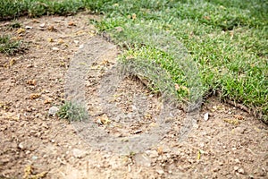 Freshly laid turf at garden