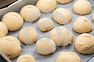 Freshly made white bread rolls proving