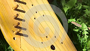 Freshly Made Wooden National Zither Placed By The Tree Trunk