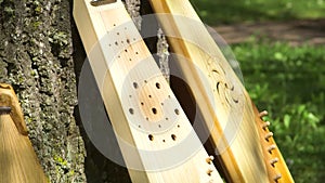 Freshly Made Wooden National Zithers Placed By The Tree Trunk