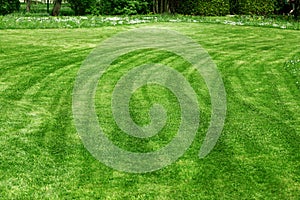 Freshly mowed lawn