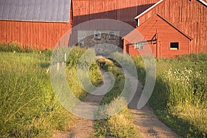 Red Wisconsin Dairy Farm and Old Barn photo