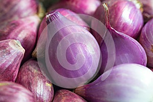 Freshly peel shallot or small red onion