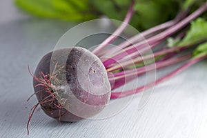 Freshly picked beetroot on white wood