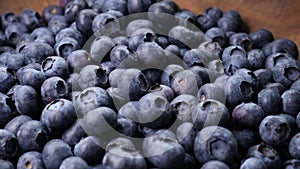 Freshly picked blueberries