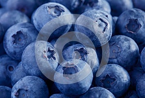 Freshly picked blueberries