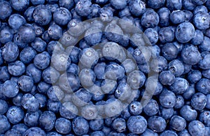 Freshly picked blueberries