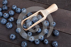 Freshly picked blueberries