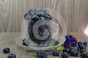 Freshly picked blueberries in a glass cup - Juicy and fresh blueberries - Blueberry antioxidant.