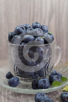 Freshly picked blueberries in a glass cup - Juicy and fresh blueberries - Blueberry antioxidant.