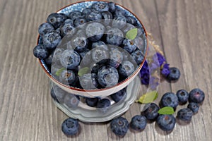 Freshly picked blueberries in a porcelain dish - Juicy and fresh blueberries - Blueberry antioxidant.